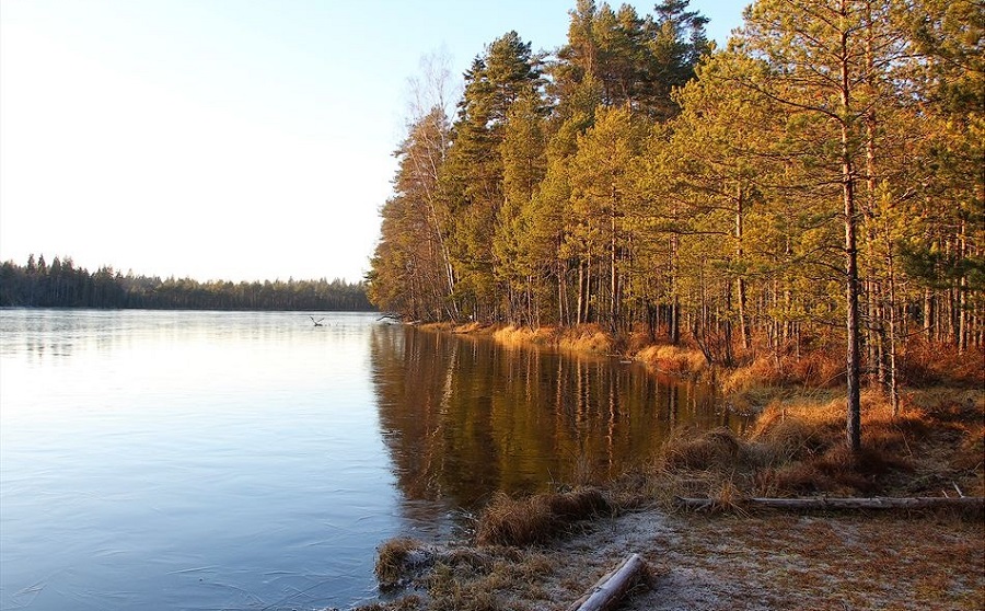 Озеро Селигер в Тверской области